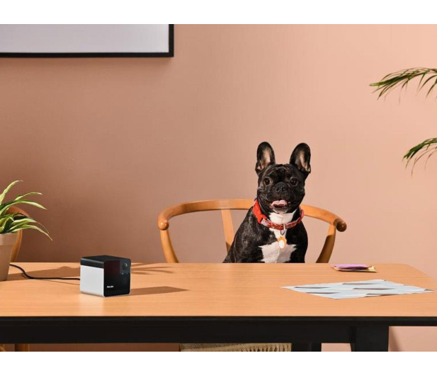 Petcube Inteligentna kamera z laserem Play 2 - 1308536 - zdjęcie 6
